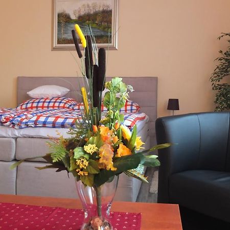 Country House Baranjski Tulipan Draz Номер фото