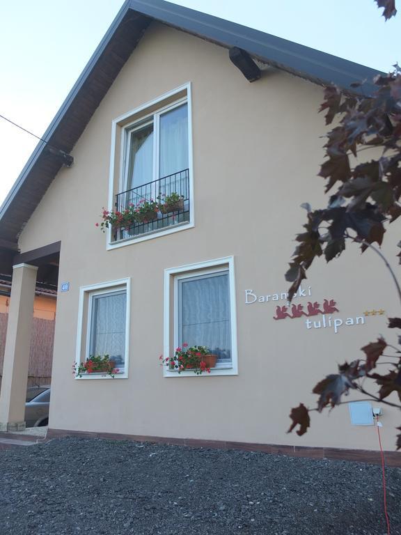 Country House Baranjski Tulipan Draz Экстерьер фото