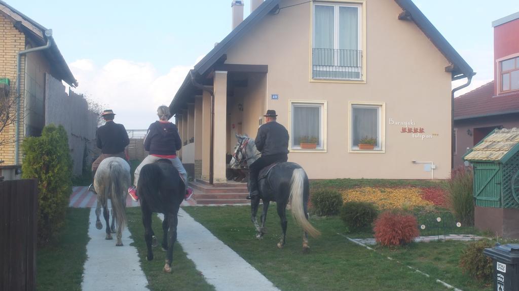 Country House Baranjski Tulipan Draz Экстерьер фото