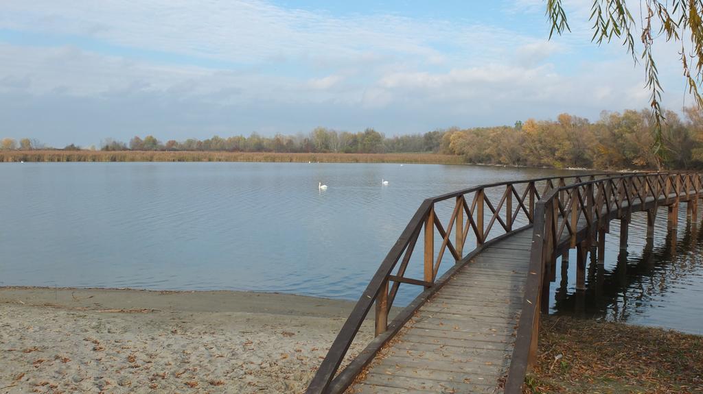 Country House Baranjski Tulipan Draz Экстерьер фото